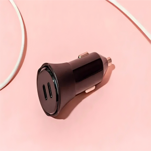 car charger (1)